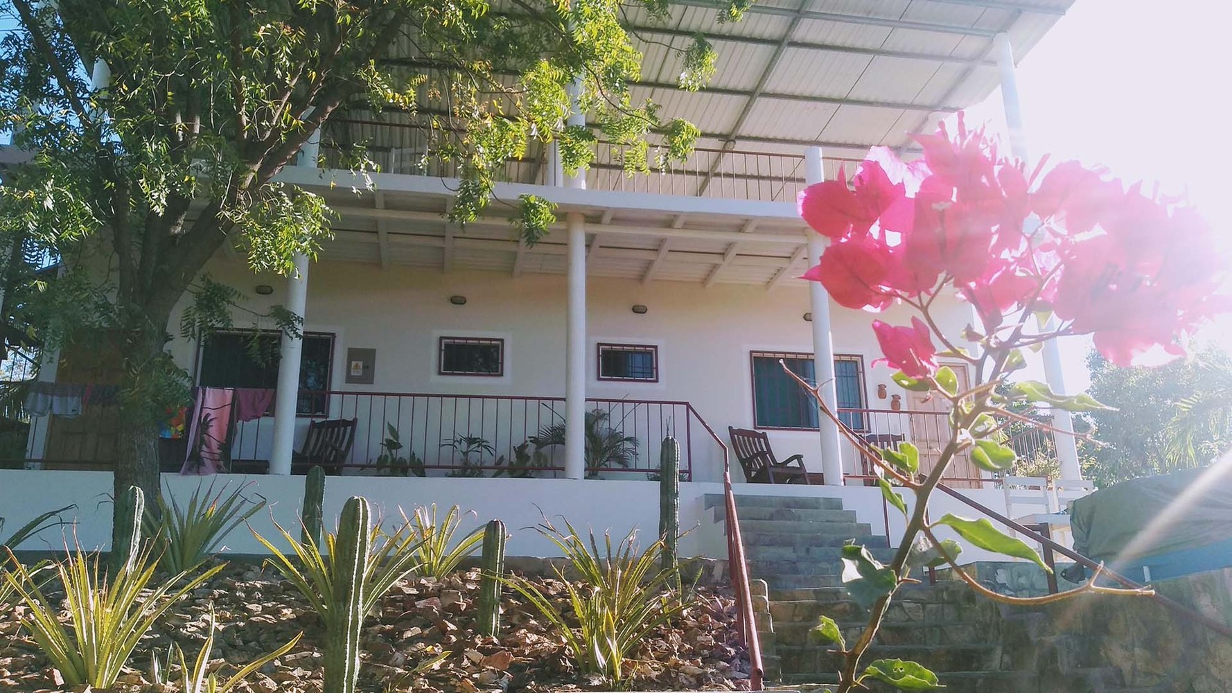 The entire Casa Todo Bueno property - two bedrooms, pool, garden, and hammocks